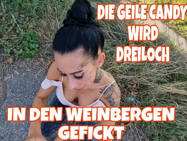 DIE GEILE CANDY WIRD DREILOCH IN DEN WEINBERGEN GEFICKT