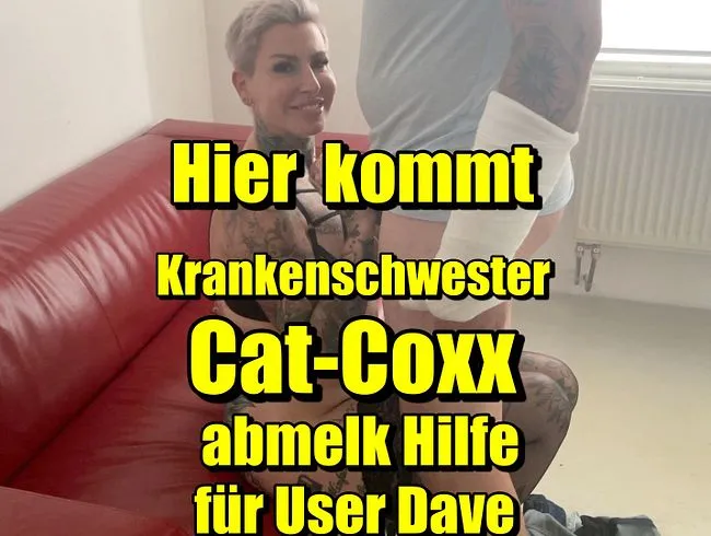 Hier kommt Krankenschwester Cat-Coxx abmelk Hilfe für User Dave