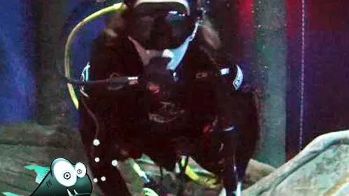 Erster TAUCHgang meines Lebens