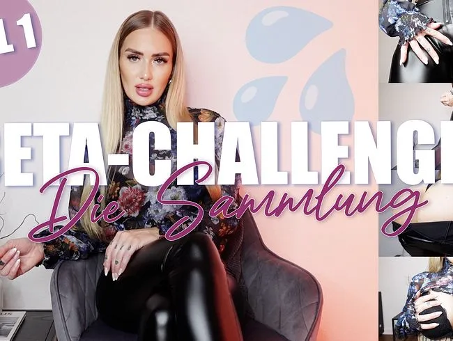 BETA CHALLENGE - Die Sammlung! Teil 1