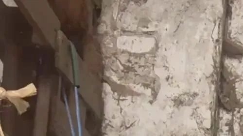 Er wollte mir nur beim Heunetz aufhängen helfen…