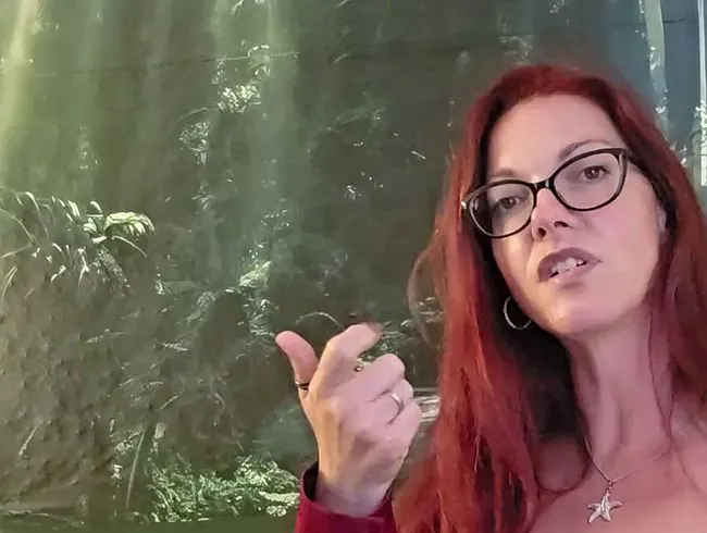 Du darfst für mich absahnen...